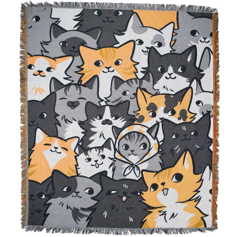 Are You Kitten Me Blanket 1