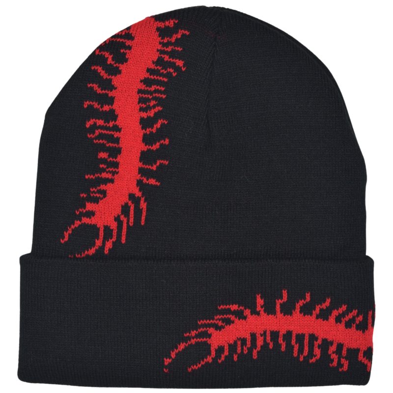 CentipedeBeanie 1