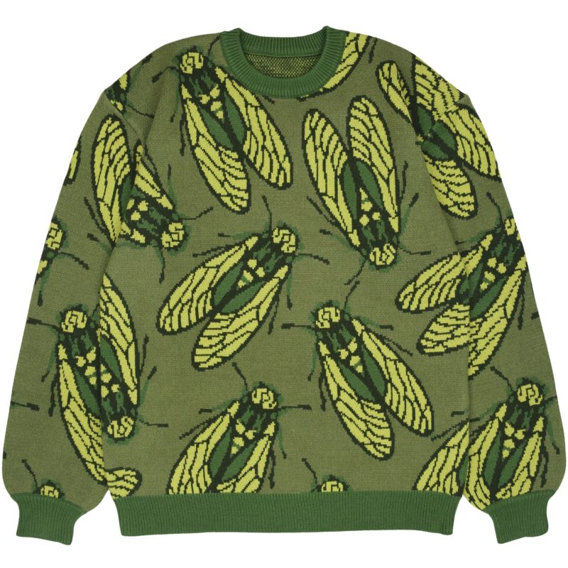 Cicada Sweater 1