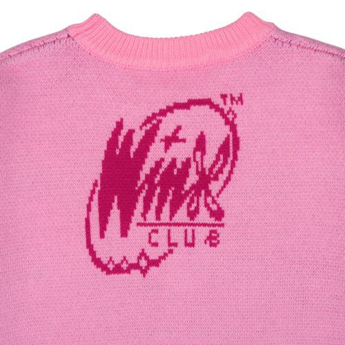 Winx Fairy Group Sweater 4